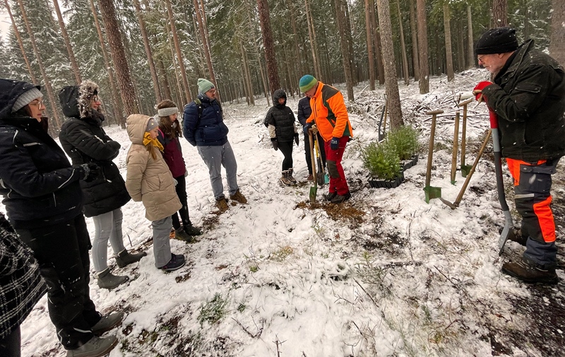 ESM Zukunftswald 1