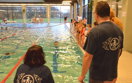 schwimmen selb 11161