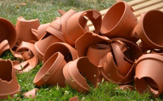 wiesenfest