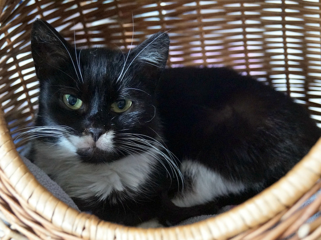 toer0716lilli