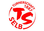 ts logo